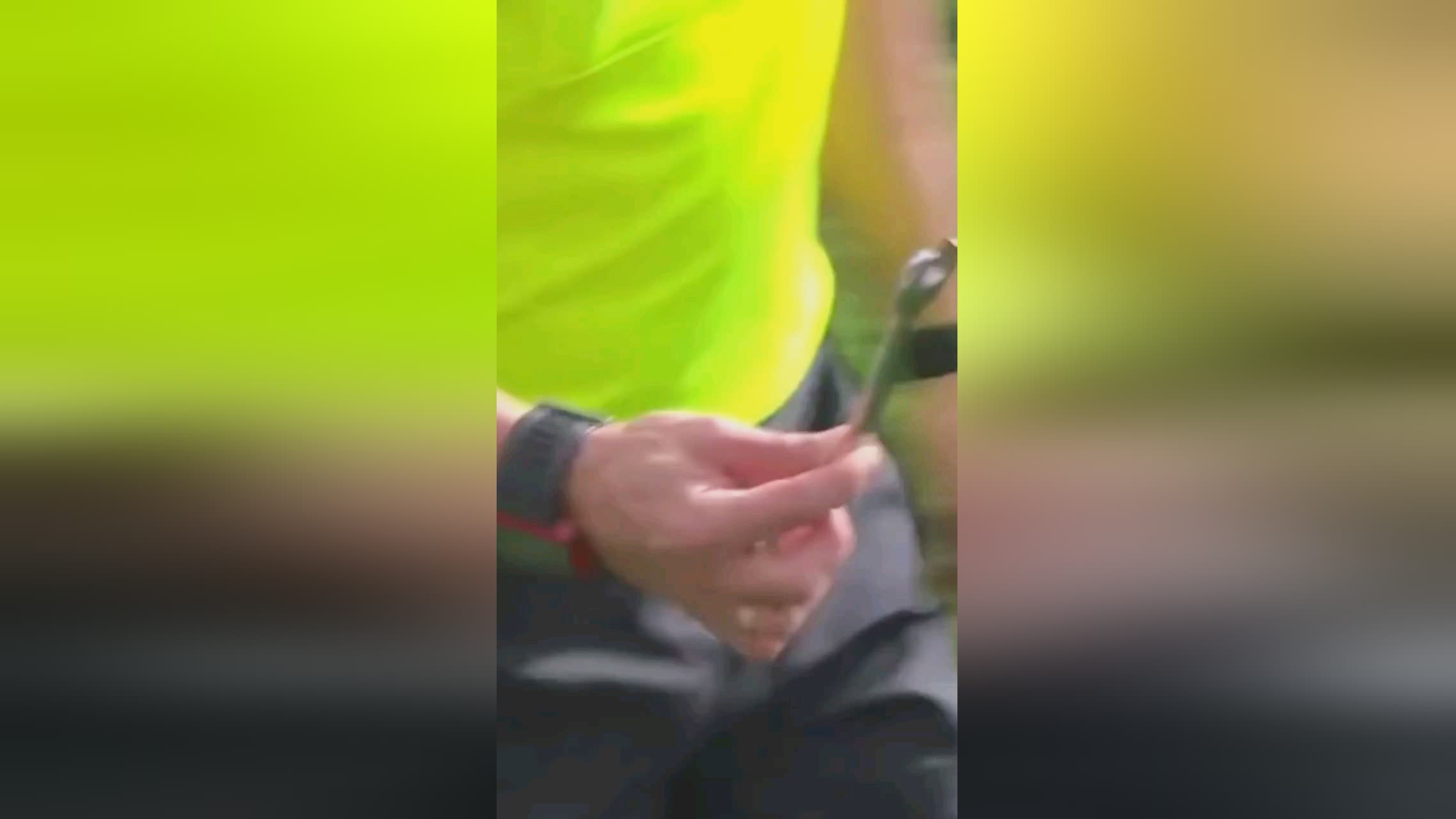 他们也认为